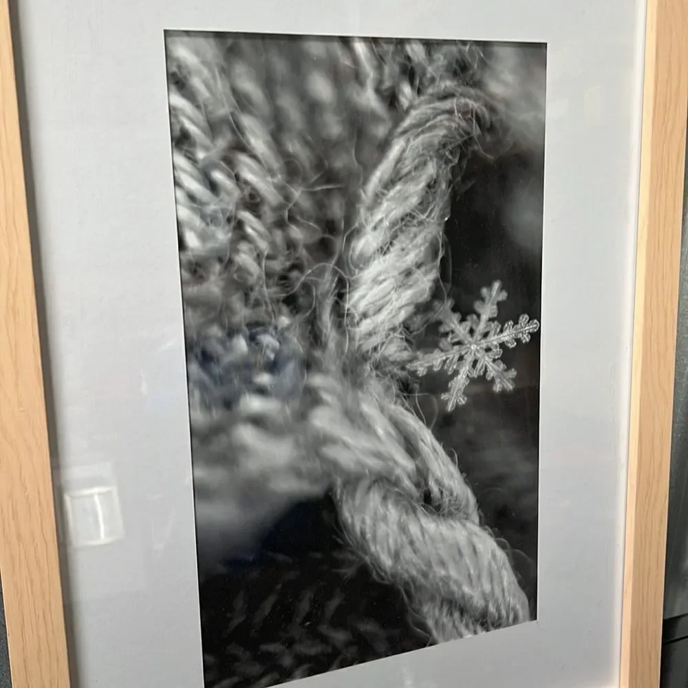 Pottery Barn Wendover Art Group Framed Snowflake Photo